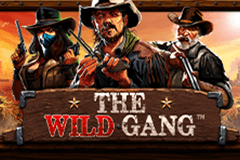 The Wild Gang slot