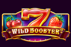 Wild Booster slot