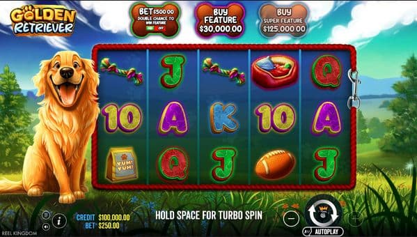 Golden Retriever screenshot 1