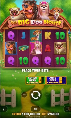The Big Dog House screenshot 1
