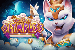 Cats of Olympuss slot