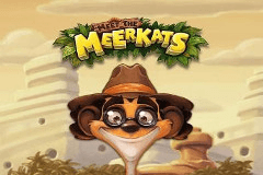 Meet the Meerkats slot