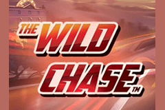 The Wild Chase slot