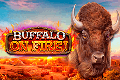 Buffalo On Fire slot