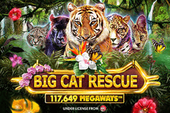 Big Cat Rescue Megaways slot