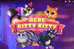 Here Kitty Kitty slot