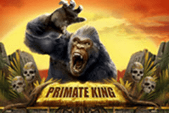Primate King slot