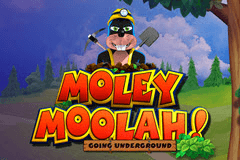 Moley Moolah Going Underground slot