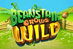 Beanstalk Grows Wild slot