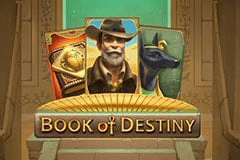 Book of Destiny slot