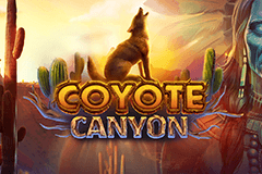 Coyote Canyon slot