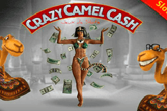 Crazy Camel Cash slot