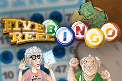 Five Reel Bingo slot