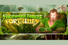 Sherwood Forest Fortunes slot