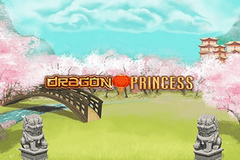 Dragon Princess slot