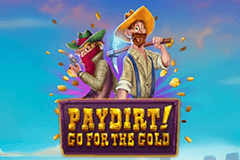 Paydirt Go For The Gold slot