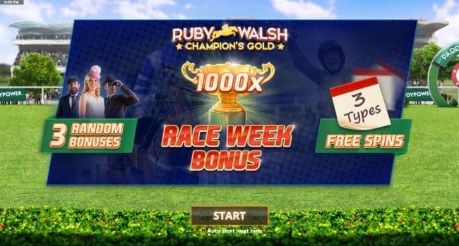 Game features include: 3 Random Bnuses and 3 Types of Free Spins.