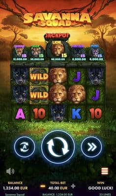 Main Screen