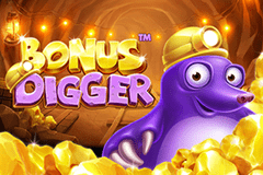 Bonus Digger slot