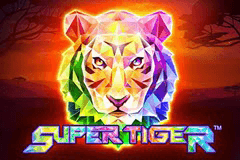 Super Tiger slot