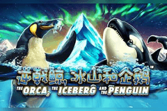 The ORCA, the ICEBERG and the PENGUIN slot