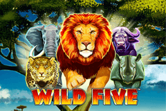 Wild Five slot