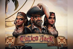 Calico Jack slot