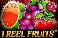 1 Reel Fruits slot