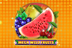 Mega Wild Fruits slot