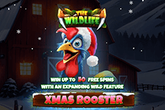 Xmas Rooster slot
