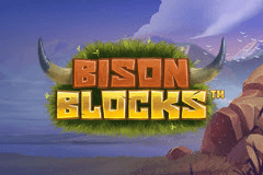 Bison Blocks slot