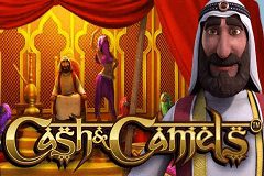 Cash & Camels slot