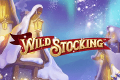 Wild Stocking slot