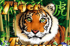Tiger Treasures slot