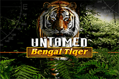 Untamed Bengal Tiger slot