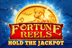Fortune Reels slot