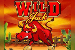 Wild Jack slot