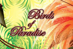 Birds of Paradise slot