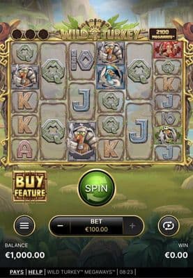 Main Screen