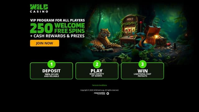 Wild Casino screenshot