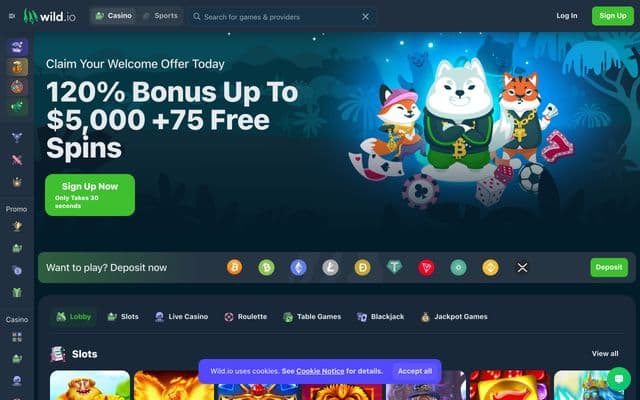 Wild.io home screen