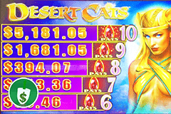 Desert Cats slot