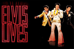 Elvis Lives slot