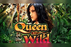 Queen of the Wild slot