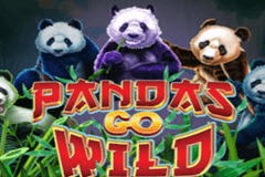 Pandas Go Wild slot