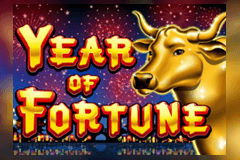 Year of Fortune slot