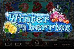 Winterberries slot