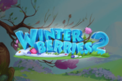 Winterberries 2 slot