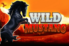 Wild Mustang slot